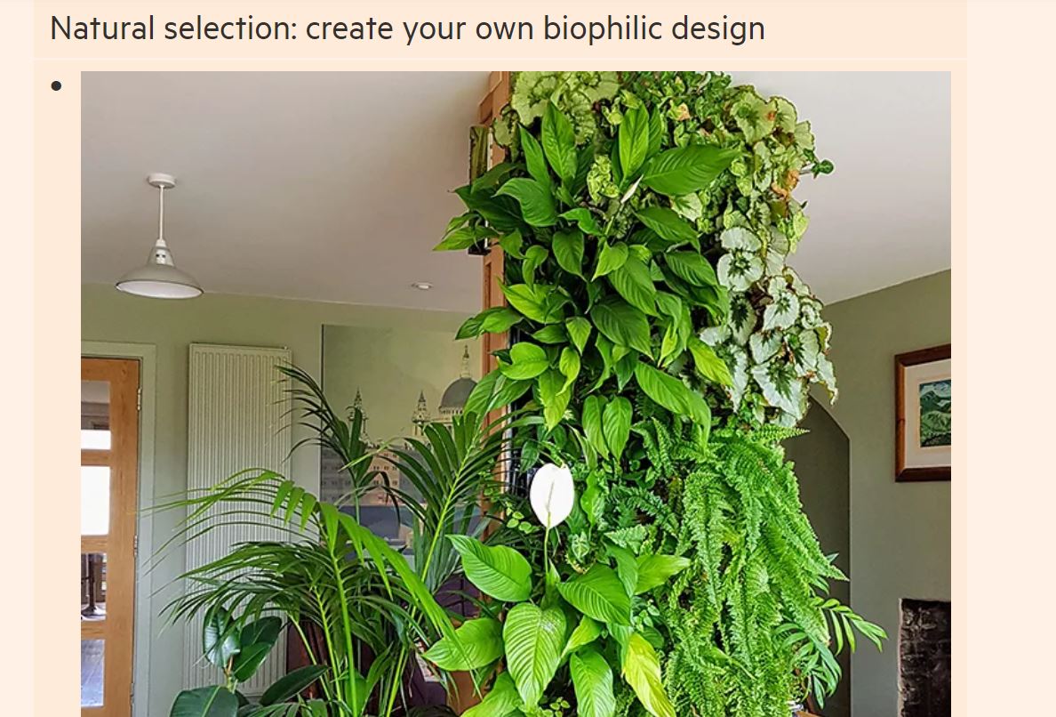 How biophilic design brings the outdoors in | Ballymore